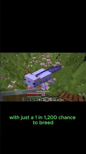 The Rarest Mobs in Minecraft Ranked! 🐑⚡