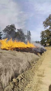 Over the past two weeks, ODF has partnered with OSU Extension Fire Program, NRCS, Cow Creek Band of Umpqua Tribe of Indians and DFPA to host Certified Burn Manager (CBM) trainings in Roseburg and Sisters with a live prescribed fire exercise in Roseburg following the course. The overall goal of the CBM program is to reduce barriers to prescribed fire in Oregon by increasing available resources on non-federal, ODF-protected lands. When landowners within ODF protection districts use a certified bur