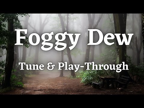 Foggy Dew - Fiddle Tune & Slow Playthrough