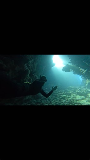 John john Florence on Instagram: "No waves today, so we went into the silent world 50ft below. @nathan_florence"