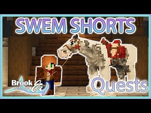 SWEM Shorts- A Simple Guide to SWEM: Quests!