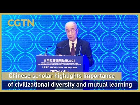 Chinese scholar highlights importance of civilizational diversity and mutual learning