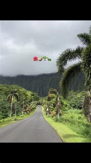 #Si estés pensando visitar Hawái,esta es tu seńal 🌺🐢🥥#hawaii#Aloha#Vacation#islandlife🏝