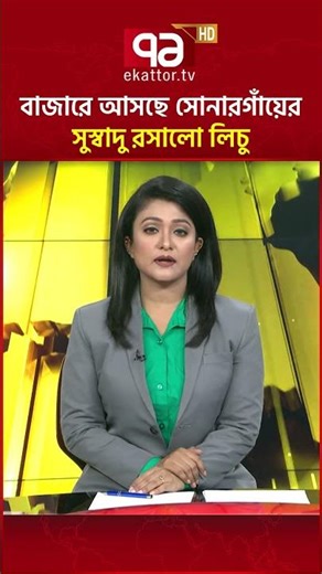 বাজারে আসছে সোনারগাঁয়ের সুস্বাদু রসালো লিচু #lychee #ekattortv