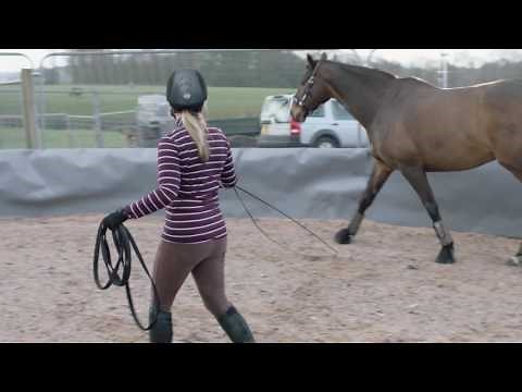 How to lunge a horse - Ride-away