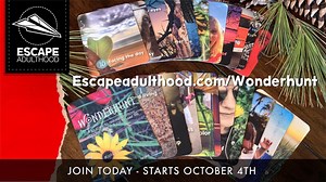 Grab your camera (the one on your phone will do!) and join Kim for a...