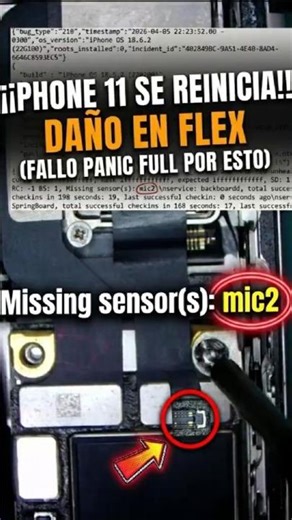iPhone 11 se reinicia por daño en flex!