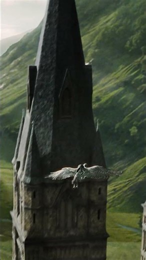 Harry Potter in green #HarryPotter