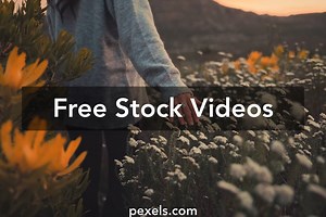 Beautiful Nature Videos, Download The BEST Free 4k Stock Video Footage & Beautiful Nature HD Video Clips