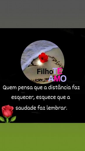 celymelo283 no TikTok