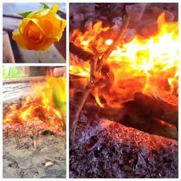 Fire fills passion overtakes & exhumes