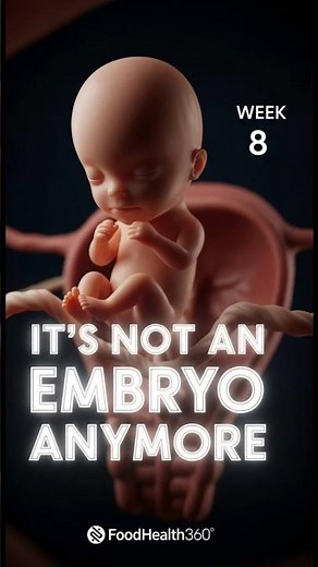 Week 8: Your Baby is No Longer an Embryo! #shorts