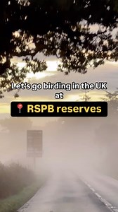 22 reactions | The RSPB (@rspb) is a nonprofit charity in the United...