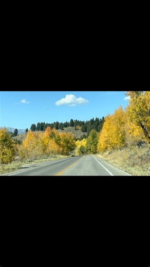 Oxbow Bend is a fan favorite in Grand Teton National Park, and one that “most” can agree on as a “Must See”. Oxbow Bend is best viewed when approaching it from the east. You come around a tree-lined bend in the road and it opens up to Oxbow Bend Overlook. This is one of the reasons it is suggested to do the 42 Mile Drive counterclockwise. If you find yourself approaching Oxbow Bend Turnout from the west - all is not lost!! You can still get the “approaching view”. You are just going to have to d
