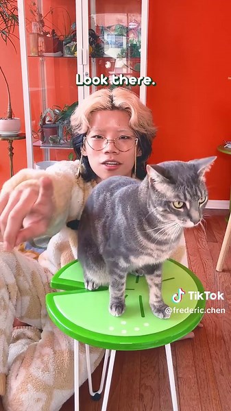 Upgrade Home Security with New Locks and Cameras