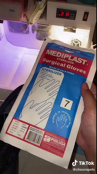 Cat Birth Preparation: Essential Tips and Supplies