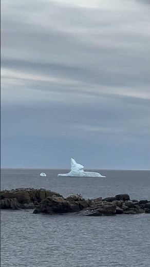 Where Puffins Meet Icebergs | Elliston, Newfoundland 🇨🇦🇬🇱