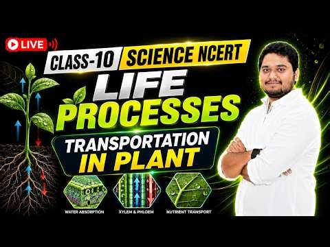 🔴 LIVE | Transportation in Plants | Xylem & Phloem Explained | Class 10 Science NCERT