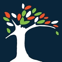 Little Friends, Inc. | LinkedIn