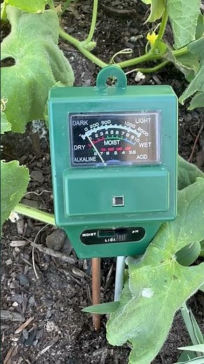How To Adjust Soil pH