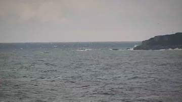 Campus Point Surf Report, Surf Forecast and Surf Cam - Surfline