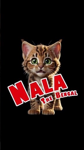 Meet Nala the Bengal Cat 🐾 | Stunning Bengal Cat with Wild Looks and Playful Charm! #shorts