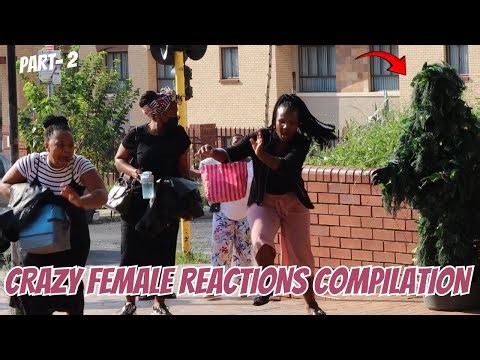 CRAZY BUSHMAN PRANKS FEMALE REACTIONS COMPILATION / PART 2