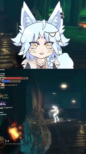 If you know you know.. Bioshock 2 Minerva's Den