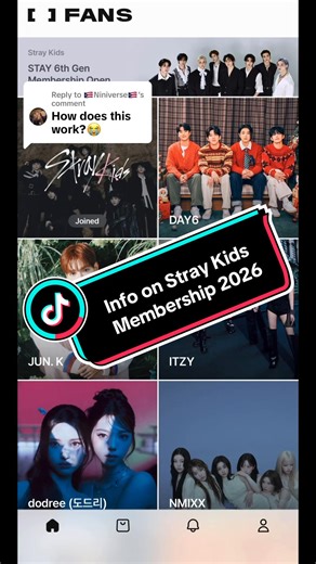 Guía de Membresía de Stray Kids: Todo lo que necesitas saber