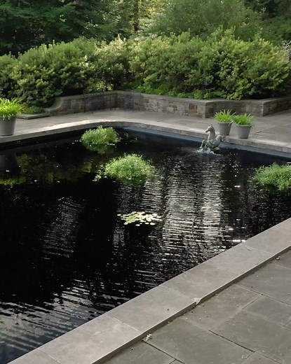 1.2K reactions · 143 shares | A Tranquil Oasis Awaits | Winterthur Museum, Garden & Library | Facebook