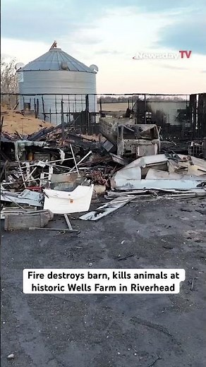Fire destroys barn, kills animals at historic Wells Farm in Riverhead