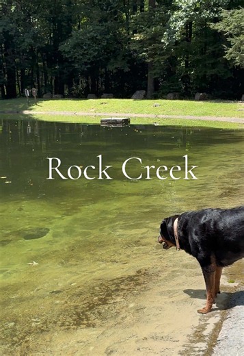 Rock Creek in Erwin, TN: What to Know for Your Road Trip