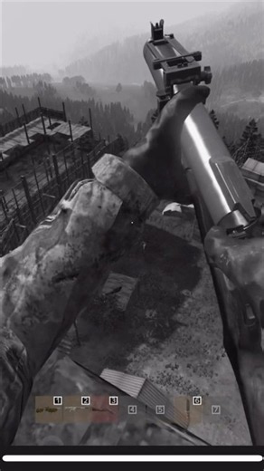 DayZ 2v7 Counter Raid😅