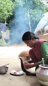 1.4M views · 10K reactions | Village Life Cooking Tomato Papaya And Potato Recipe And Eating Lunch #villagelife #cooking #recipe #tusuzupuvlogs | Tusu Zupu Vlogs | Facebook