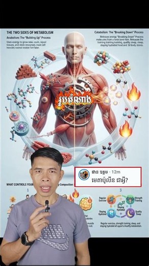 What is Metabolism?