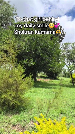 A Sweet Tribute to Daily Joy