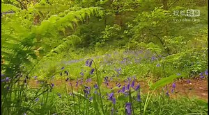 Green_Balloon_Club_Goes_on_Holiday_S01E02