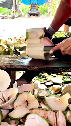 Machine-Like Speed Coconut Peeling | Amazing Skill #shorts