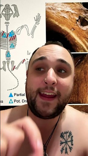 Cave Lions being HUNTED by Neanderthals? What?!