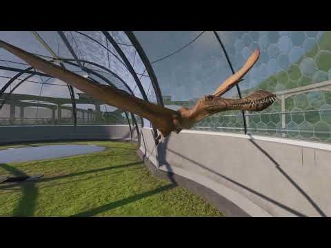 DinoSourceTV Enter : Pteranodon , Maaradactylus, Dimorphodon & Cearadactylus