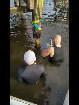 Piling Repair DS Diving