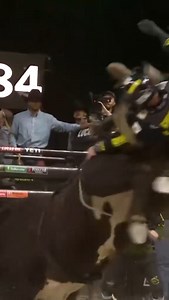 Captain America went flying | Bull Station