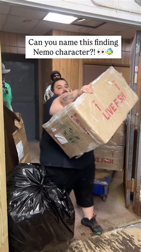 3K views · 593 reactions | Say hello to Gill from finding Nemo Gill is a moorish idol scientifically known as Zanclus canescens. What’s your favorite finding Nemo character? #fishkeeper #fishtank #fish #fishkeeping #aquarium #saltwaterfish #oceancreatures #fishstore #nyaquatic #reeftank #findingnemo #Nemo #gill #dory #findingdory | NYAquatic | Facebook