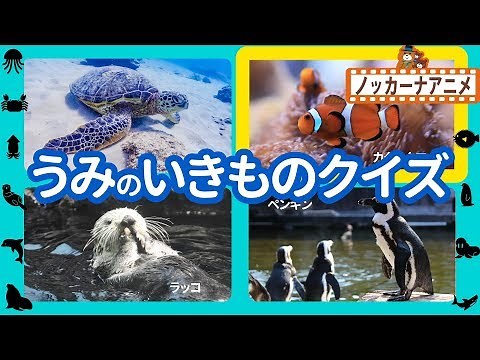 海の生き物 クイズ★水族館★子供向けアニメ★赤ちゃん・幼児向け知育動画★Aquarium / Sea creatures animation for kids