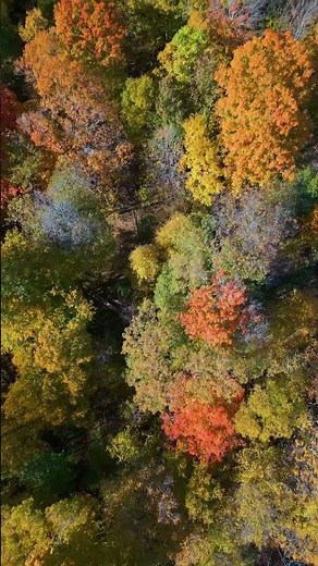 Experience Vibrant Fall Colors in the Hudson Valley!