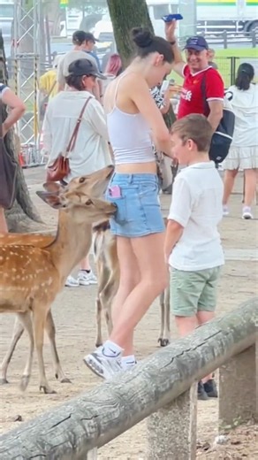 🦌😱 今日も奈良で驚きの鹿の光景！きっと信じられないほど美しい！ #trending