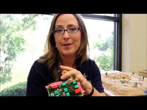 Pervious vs Impervious Surfaces: Working to Protect Your Neighborhood