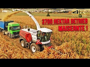 Agrar-GmbH Oldisleben: Konventioneller- und Bio-Ackerbau auf 3700 Hektar (Maisernte / Teil 4)