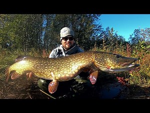 MY RECORD BREAKING MONSTER PIKE - AUTUMN PIKE FISHING IN FINLAND - ENGLISH SUBTITLES