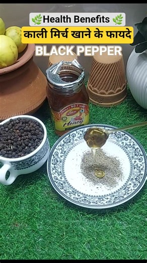 Amazing Health Benefits of काली मिर्च/Black Pepper #healthbenefits #ayurveda #facts #tips#ytshorts
